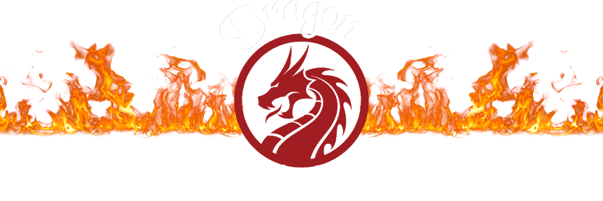 Dragon Tech   –  A Rocket Mass Heater Store